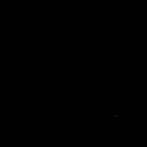 Meet your Posher, Owen